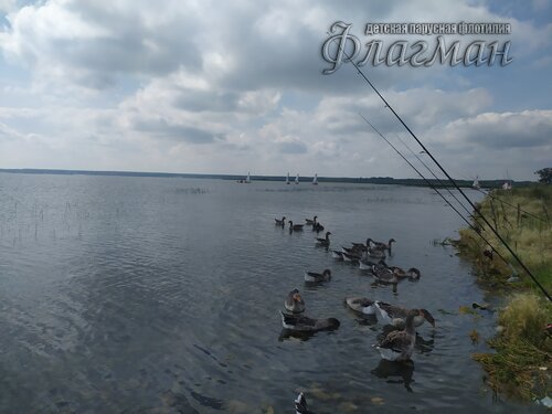 IMG_20240807_140831